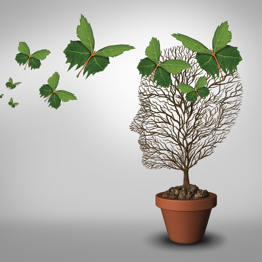 Concepção Sistêmica